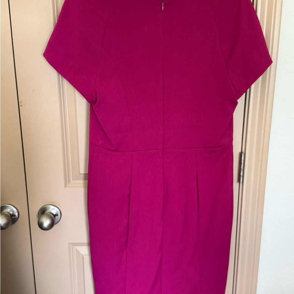 The Limited Fuchsia Midi Dress